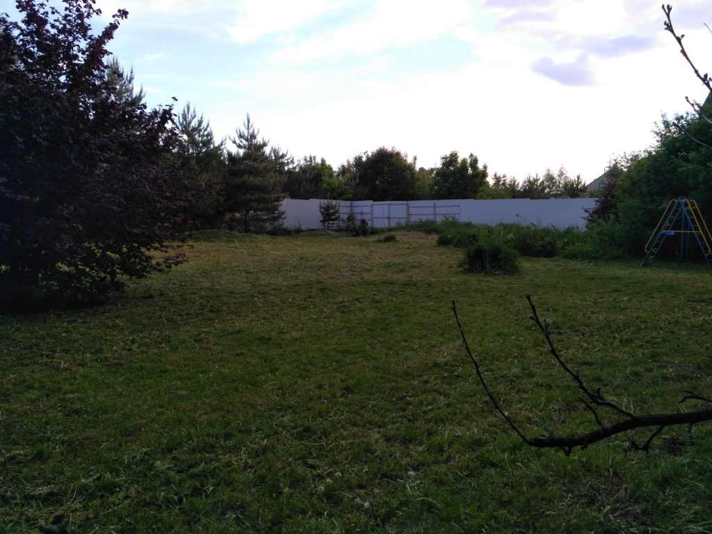 Покос в Одинцово