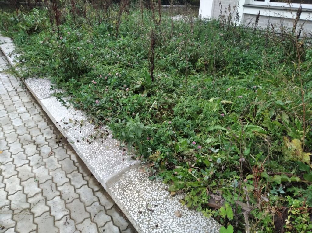 Покос, сбор и вывоз. Одинцовский район, село Акулово
