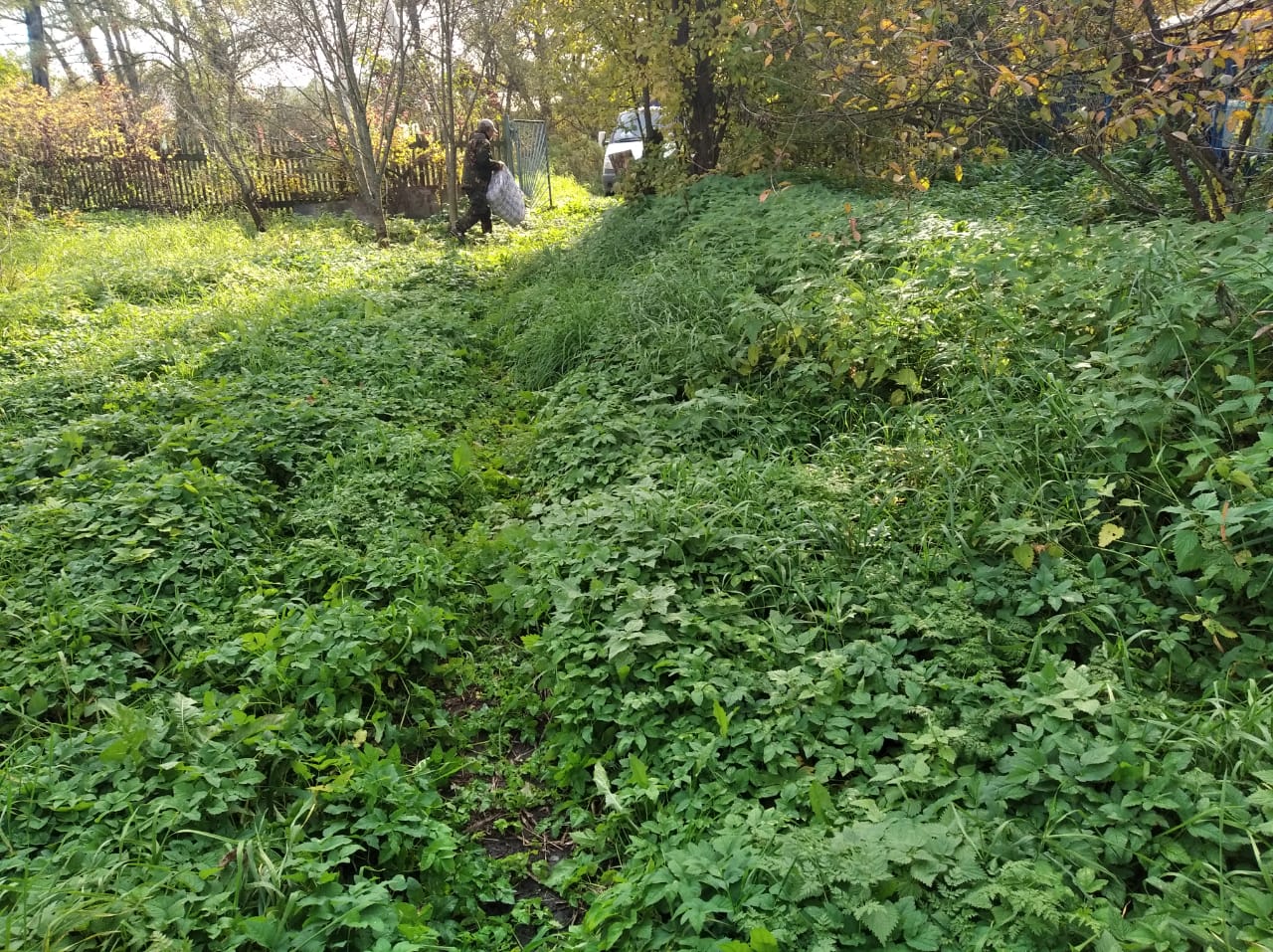 Покос без сбора. Раменский район, село Степановское