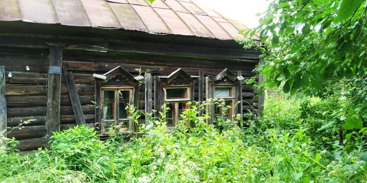 Покос бурьяна, борщевика, камыша в д. Порядино Наро-Фоминский район